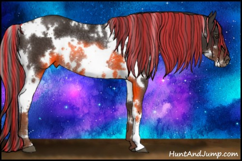 Horse Color:Painted White Spotted Liver Chestnut Rabicano 