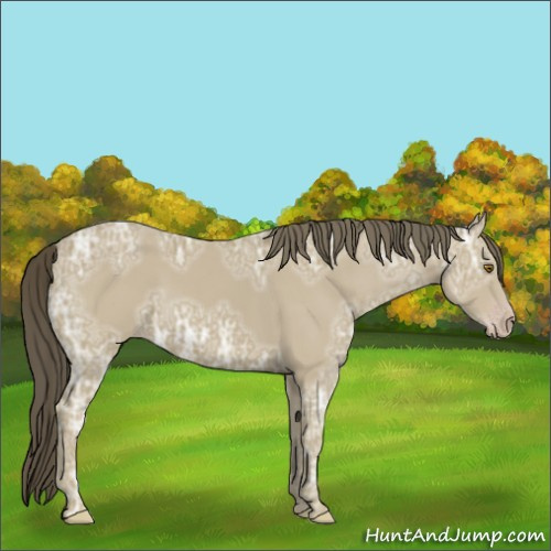 Horse Color:Classic Cream Champagne Ice 