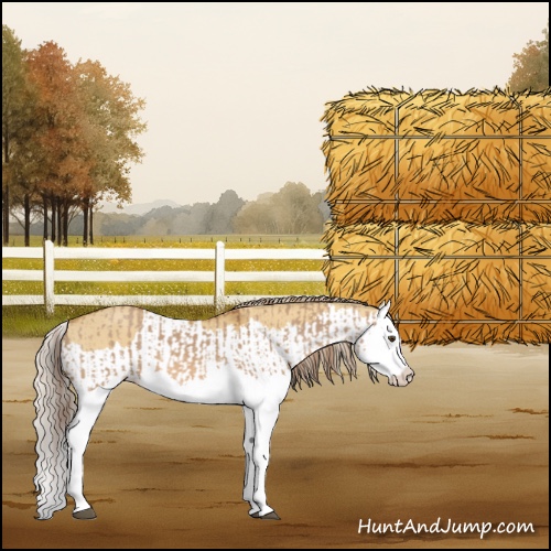 Horse Color:Red Dun Splash  and Palomino Dun Splash 