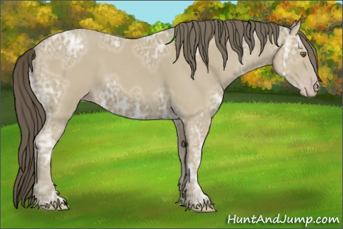 Horse Color:Classic Cream Champagne Ice 