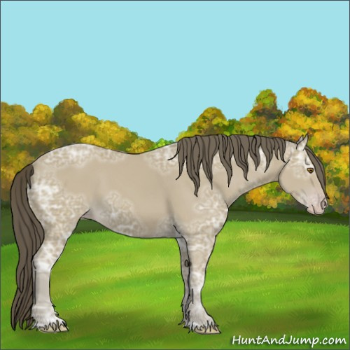 Horse Color:Classic Cream Champagne Ice 