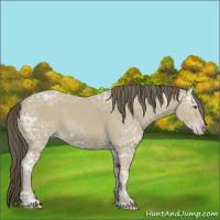 Horse Color:Classic Cream Champagne Ice 