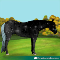 Horse Color:ERROR: UNKNOWN ANOMALY