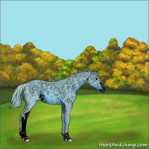 Horse Color:ERROR: UNKNOWN ANOMALY