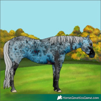 Horse Color:ERROR: UNKNOWN ANOMALY