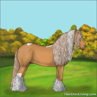 Horse Color:Palomino Tobiano 