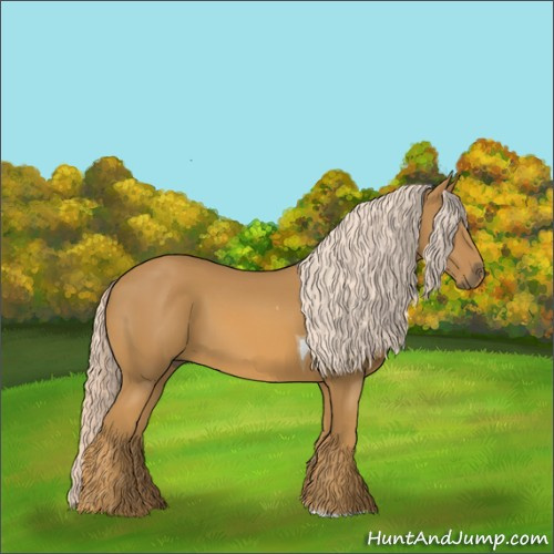 Horse Color:Palomino Tobiano 