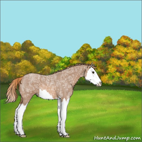 Horse Color:Red Ice Roan Splash