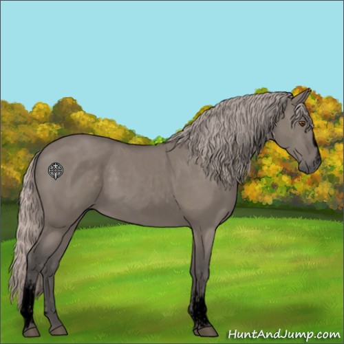 Horse Color:Void White Spotted Silver Grullo Rabicano 
