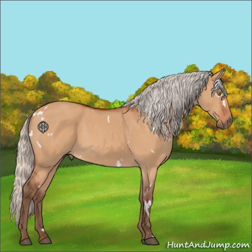 Horse Color:White Spotted Silver Brown Dun Rabicano 