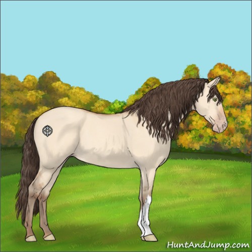 Horse Color:Amber Champagne Dun 