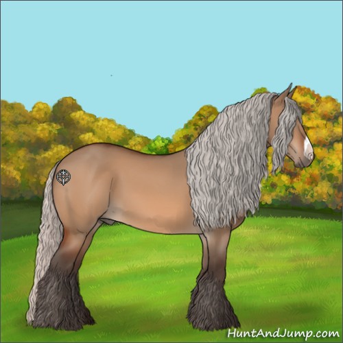 Horse Color:Silver Bay Dun 
