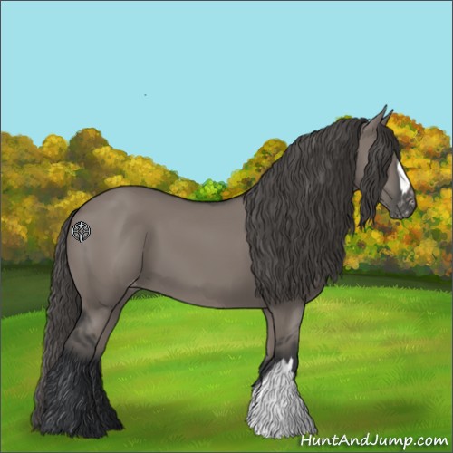 Horse Color:Grullo Appaloosa 