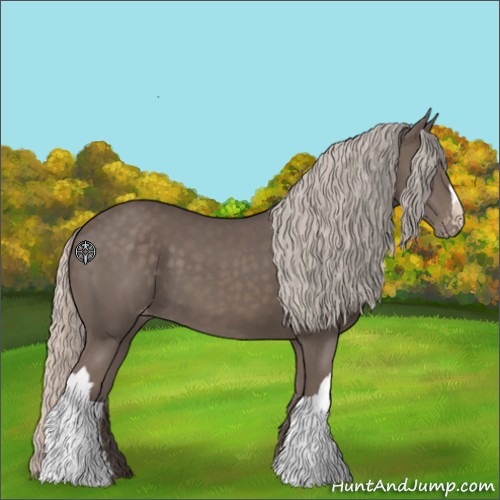 Horse Color:Silver Black Appaloosa 
