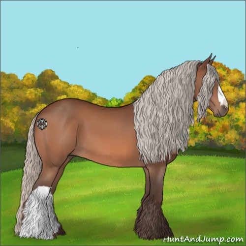 Horse Color:Silver Bay 