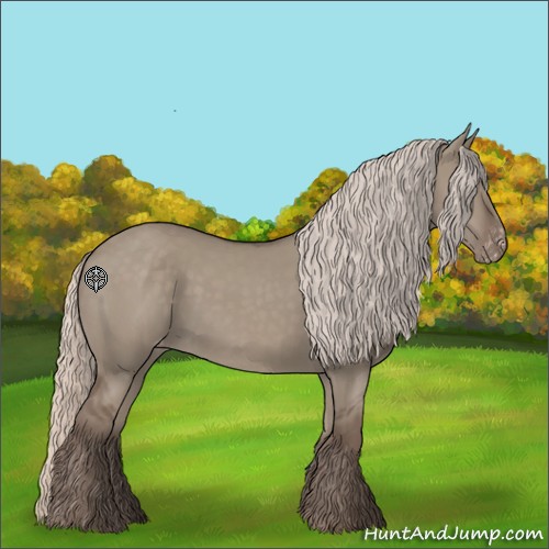 Horse Color:Silver Grullo Appaloosa 