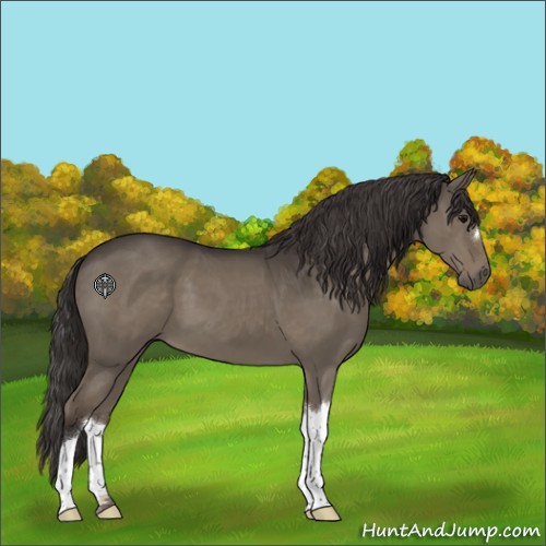 Horse Color:Smoky Grullo 
