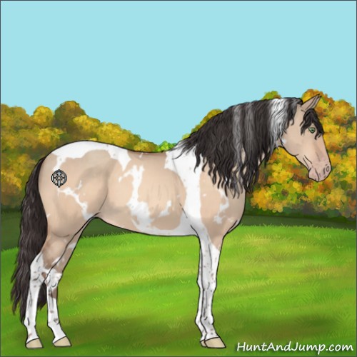 Horse Color:White Spotted Sable Champagne Dun Tobiano 