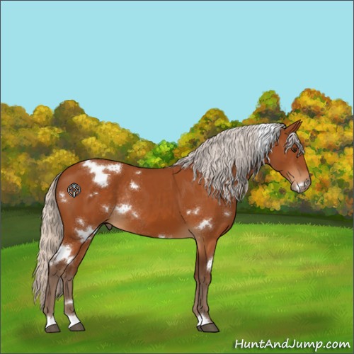 Horse Color:White Spotted Silver Buckskin Rabicano 