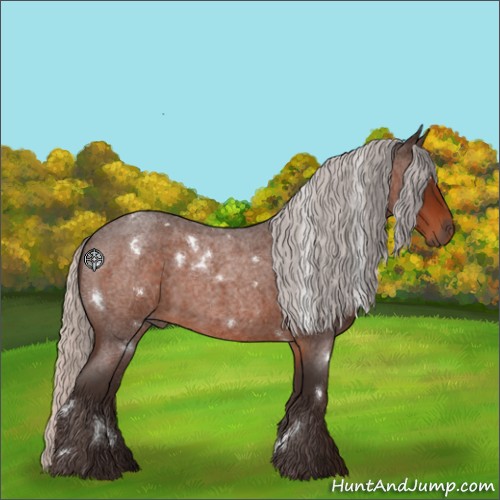 Horse Color:White Spotted Silver Brown Roan 