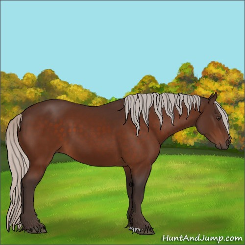 Horse Color:Silver Brown 