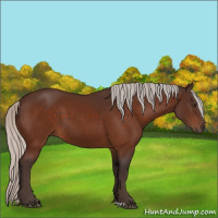 Horse Color:Silver Brown 