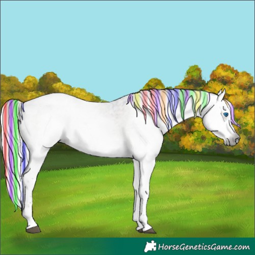 Horse Color:Gray Painted Silver Grullo Ice Roan Onyx Splash Tobiano