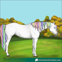 Horse Color:Gray Painted Silver Grullo Ice Roan Onyx Splash Tobiano