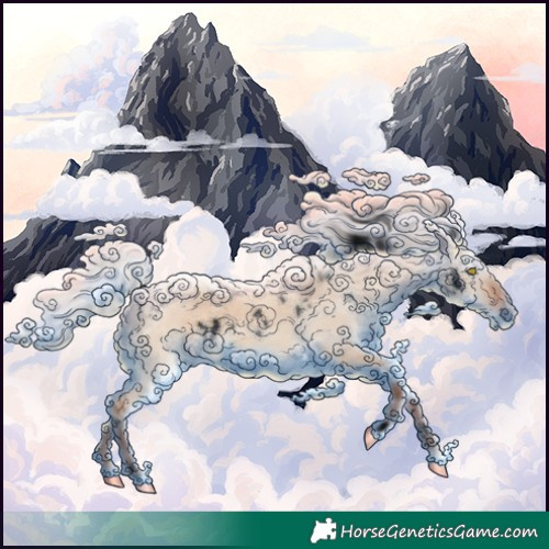 Horse Color:Void White Spotted Silver Bay Dun Rabicano 