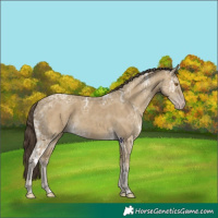 Horse Color:Classic Cream Champagne Ice 