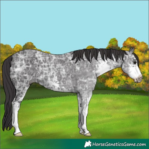 Horse Color:Smoky Black Ice Sabino 