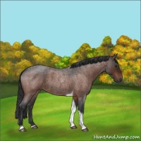 Horse Color:Brown Roan Tobiano 