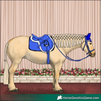 Horse Color:Palomino Dun 