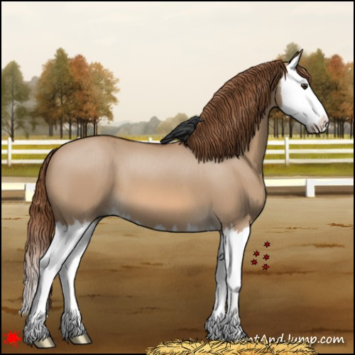 Horse Color:Red Dun Splash