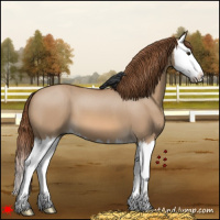 Horse Color:Red Dun Splash 