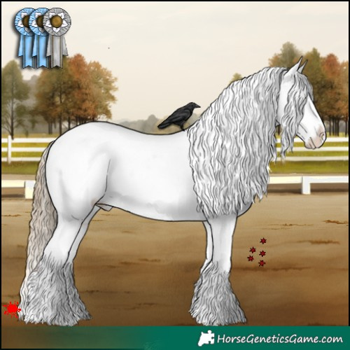 Horse Color:White Spotted Liver Red Dun Appaloosa 