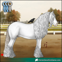 Horse Color:White Spotted Liver Red Dun Near Leopard 