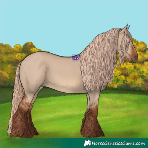 Horse Color:Red Dun 