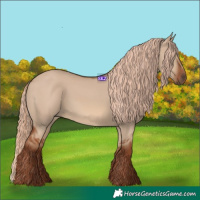 Horse Color:Red Dun 