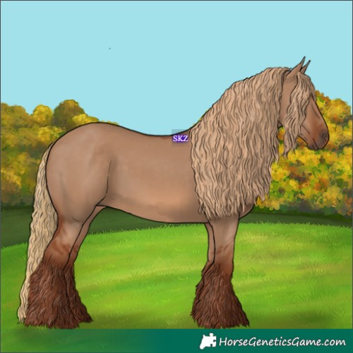 Horse Color:Red Dun 