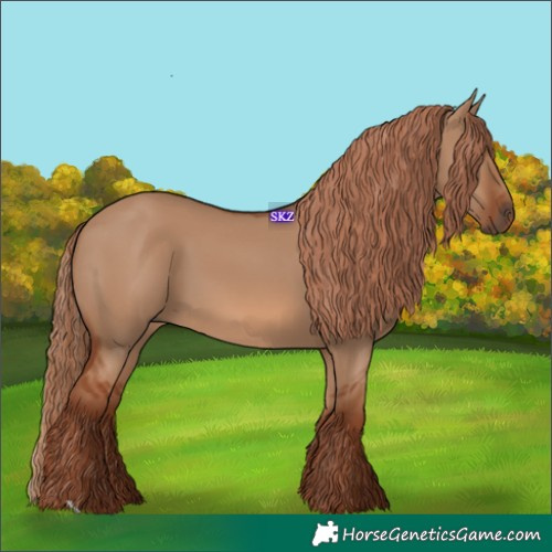 Horse Color:Red Dun