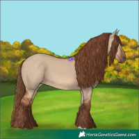 Horse Color:Red Dun 
