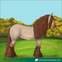 Horse Color:Red Dun
