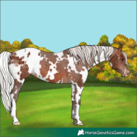 Horse Color:White Spotted Silver Brown Varnish 