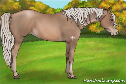 Horse Color:Silver Black Pearl 