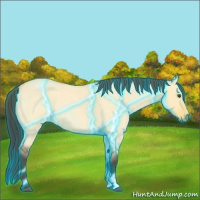 Horse Color:Thunderstruck Buckskin Roan Dun 