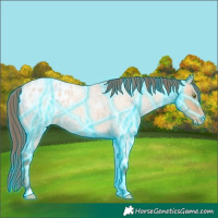 Horse Color:Thunderstruck Amber Champagne Roan Blanket 