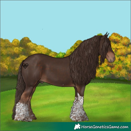 Horse Color:Liver Chestnut Tobiano 