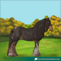 Horse Color:Liver Chestnut Tobiano 