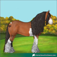 Horse Color:Bay Sabino Tobiano 